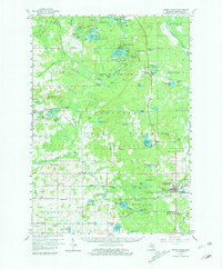 Download a high-resolution, GPS-compatible USGS topo map for White Cloud, MI (1981 edition)