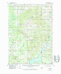 Download a high-resolution, GPS-compatible USGS topo map for Woodville, MI (1987 edition)