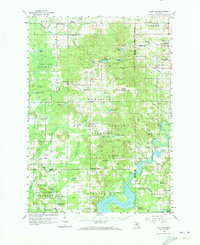 preview thumbnail of historical topo map of Newaygo County, MI in 1958