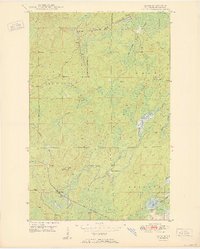 Download a high-resolution, GPS-compatible USGS topo map for Allen, MN (1950 edition)
