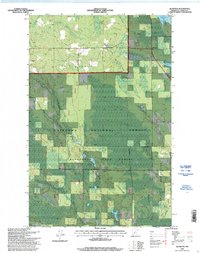 Download a high-resolution, GPS-compatible USGS topo map for Alvwood, MN (1998 edition)