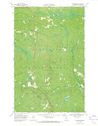 Download a high-resolution, GPS-compatible USGS topo map for Ash River SW, MN (1971 edition)