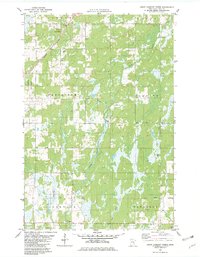 preview thumbnail of historical topo map of Pine County, MN in 1981