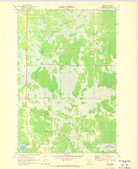 Download a high-resolution, GPS-compatible USGS topo map for Bain, MN (1973 edition)