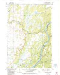 Download a high-resolution, GPS-compatible USGS topo map for Bass Creek, MN (1984 edition)