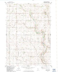 Download a high-resolution, GPS-compatible USGS topo map for Bechyn, MN (1983 edition)