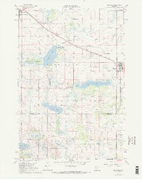 Download a high-resolution, GPS-compatible USGS topo map for Belgrade, MN (1968 edition)
