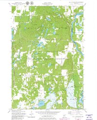 Download a high-resolution, GPS-compatible USGS topo map for Belle Prairie NW, MN (1980 edition)