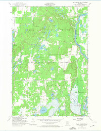 Download a high-resolution, GPS-compatible USGS topo map for Belle Prairie NW, MN (1974 edition)
