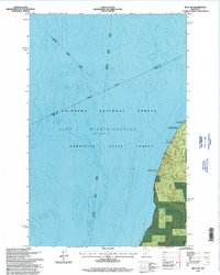 Download a high-resolution, GPS-compatible USGS topo map for Bena NW, MN (1998 edition)