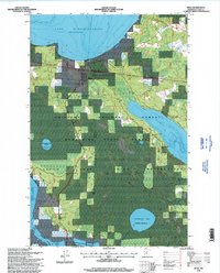 Download a high-resolution, GPS-compatible USGS topo map for Bena, MN (1998 edition)