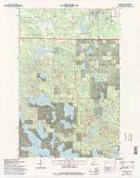 Download a high-resolution, GPS-compatible USGS topo map for Bigfork, MN (1998 edition)