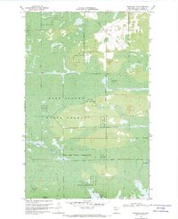 Download a high-resolution, GPS-compatible USGS topo map for Birchdale SW, MN (1970 edition)