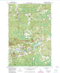 Download a high-resolution, GPS-compatible USGS topo map for Biwabik NE, MN (1985 edition)