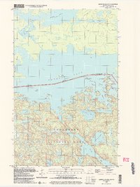 Download a high-resolution, GPS-compatible USGS topo map for Blind Pig Island, MN (2004 edition)