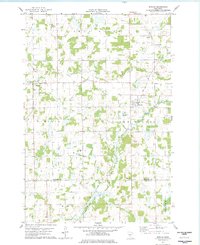 Download a high-resolution, GPS-compatible USGS topo map for Bowlus, MN (1978 edition)