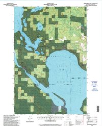 Download a high-resolution, GPS-compatible USGS topo map for Bowstring Lake, MN (1998 edition)