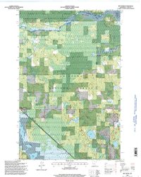 Download a high-resolution, GPS-compatible USGS topo map for Boy River, MN (1998 edition)