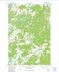 Download a high-resolution, GPS-compatible USGS topo map for Bruno, MN (1982 edition)