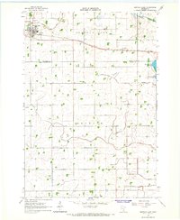 Download a high-resolution, GPS-compatible USGS topo map for Buffalo Lake, MN (1965 edition)