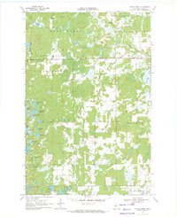 Download a high-resolution, GPS-compatible USGS topo map for Bungo Creek, MN (1972 edition)
