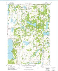 Download a high-resolution, GPS-compatible USGS topo map for Burtrum, MN (1978 edition)