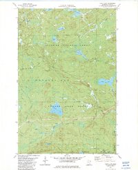 Download a high-resolution, GPS-compatible USGS topo map for Cabin Lake, MN (1982 edition)