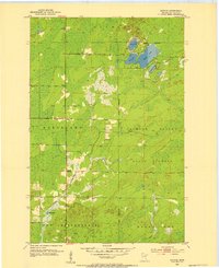 Download a high-resolution, GPS-compatible USGS topo map for Canyon, MN (1954 edition)