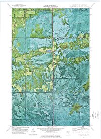 preview thumbnail of historical topo map of Lake of the Woods County, MN in 1973