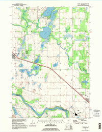 Download a high-resolution, GPS-compatible USGS topo map for Clear Lake, MN (1995 edition)