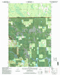 Download a high-resolution, GPS-compatible USGS topo map for Coddington Lake, MN (1998 edition)