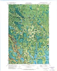 Download a high-resolution, GPS-compatible USGS topo map for Coddington Lake, MN (1974 edition)