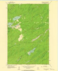 Download a high-resolution, GPS-compatible USGS topo map for Comstock Lake, MN (1958 edition)