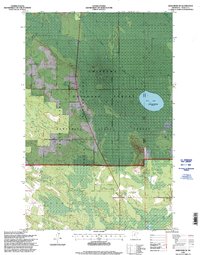 Download a high-resolution, GPS-compatible USGS topo map for Deer River NE, MN (1998 edition)