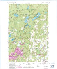 Download a high-resolution, GPS-compatible USGS topo map for Dewey Lake, MN (1985 edition)