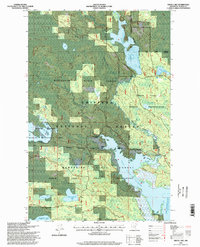 Download a high-resolution, GPS-compatible USGS topo map for Dixon Lake, MN (1998 edition)