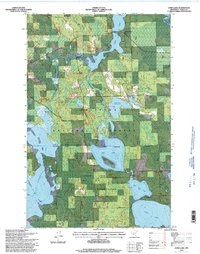Download a high-resolution, GPS-compatible USGS topo map for Dora Lake, MN (1998 edition)