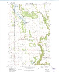 Download a high-resolution, GPS-compatible USGS topo map for Dorothy, MN (1982 edition)