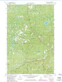Download a high-resolution, GPS-compatible USGS topo map for Doyle Lake, MN (1985 edition)