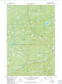 preview thumbnail of historical topo map of Lake County, MN in 1982