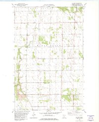 Download a high-resolution, GPS-compatible USGS topo map for Ellerth, MN (1982 edition)