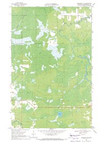 Download a high-resolution, GPS-compatible USGS topo map for Ericsburg NW, MN (1971 edition)