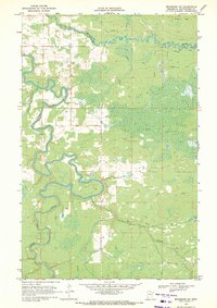 Download a high-resolution, GPS-compatible USGS topo map for Ericsburg SW, MN (1971 edition)