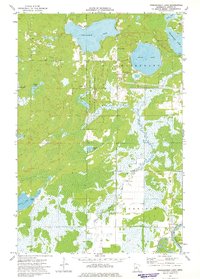 Download a high-resolution, GPS-compatible USGS topo map for Esquagamah Lake, MN (1975 edition)
