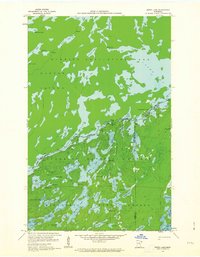 Download a high-resolution, GPS-compatible USGS topo map for Ester Lake, MN (1964 edition)