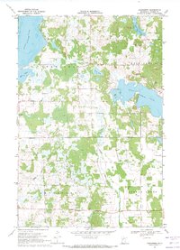 Download a high-resolution, GPS-compatible USGS topo map for Evergreen, MN (1971 edition)
