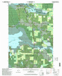 Download a high-resolution, GPS-compatible USGS topo map for Federal Dam, MN (1998 edition)