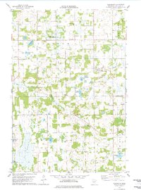 Download a high-resolution, GPS-compatible USGS topo map for Flensburg, MN (1978 edition)