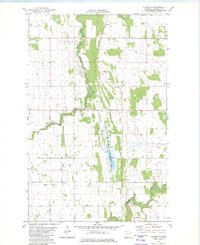 Download a high-resolution, GPS-compatible USGS topo map for Florian NE, MN (1982 edition)