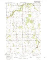 Download a high-resolution, GPS-compatible USGS topo map for Florian SE, MN (1982 edition)